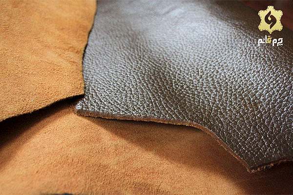جنس رویه پشتی چرم