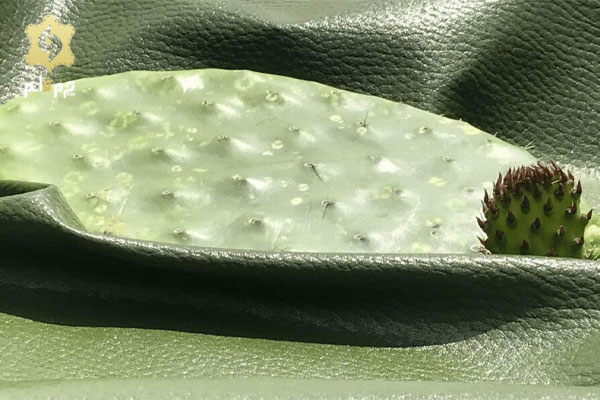 چرم-وگان-تولید-شده-از-مواد-گیاهی