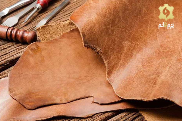 چرم طبیعی
