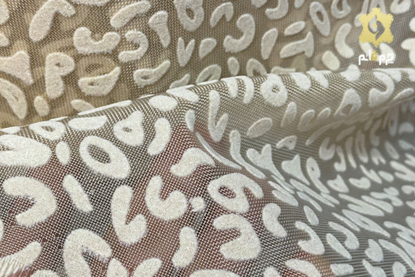 قیمت تور پلنگی