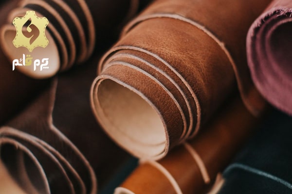 چرم بیاله چیست؟